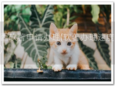 江西软著申请办理(软著办理速度快！)