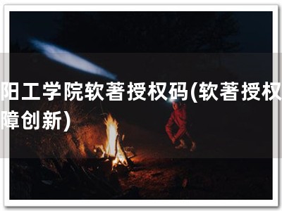 沈阳工学院软著授权码(软著授权，保障创新)