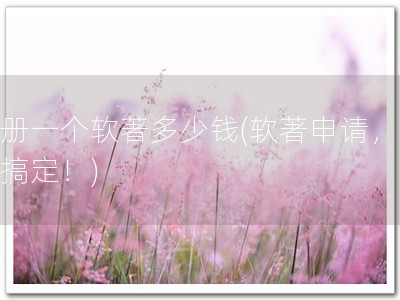 注册一个软著多少钱(软著申请，一步搞定！)