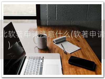 河北软著申请注意什么(软著申请指南！)