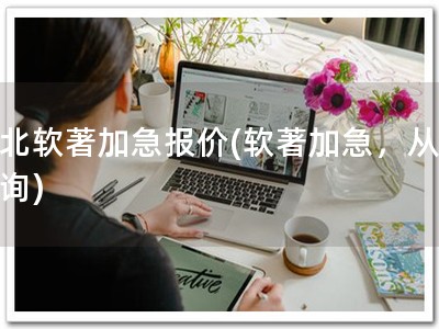 河北软著加急报价(软著加急，从速咨询)