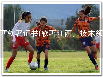江西软著证书(软著江西，技术领先)