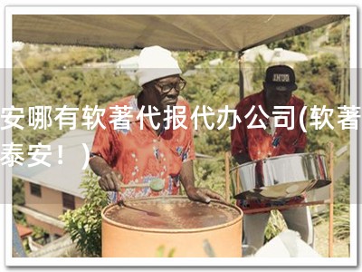 泰安哪有软著代报代办公司(软著代办泰安！)