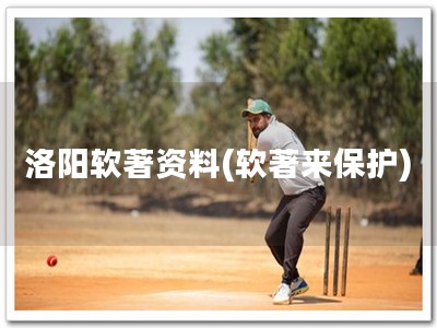 洛阳软著资料(软著来保护)