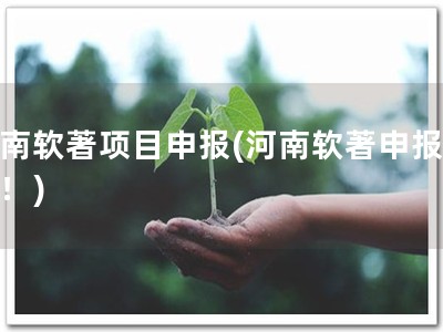 河南软著项目申报(河南软著申报火热！)