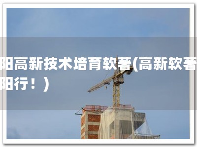 沈阳高新技术培育软著(高新软著，沈阳行！)