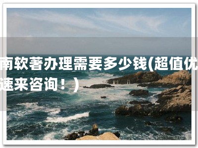 河南软著办理需要多少钱(超值优惠，速来咨询！)