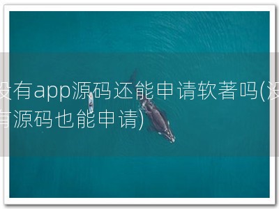没有app源码还能申请软著吗(没有源码也能申请)