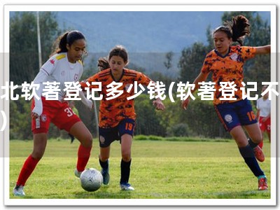 河北软著登记多少钱(软著登记不贵！)