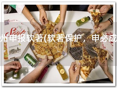 泸州申报软著(软著保护，申必成功)