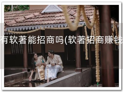 没有软著能招商吗(软著招商赚钱！)