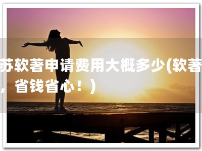 江苏软著申请费用大概多少(软著申请，省钱省心！)