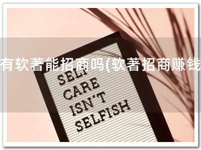 没有软著能招商吗(软著招商赚钱！)