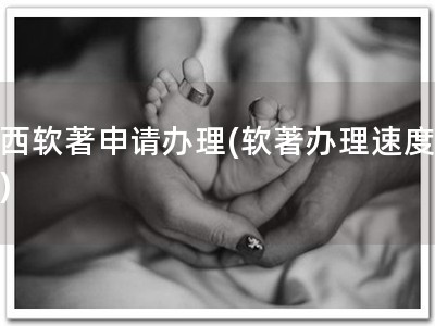 江西软著申请办理(软著办理速度快！)