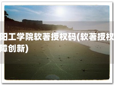 沈阳工学院软著授权码(软著授权，保障创新)