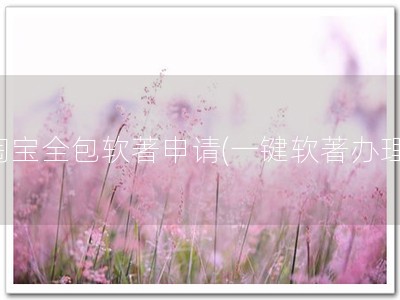 淘宝全包软著申请(一键软著办理)