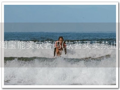 淘宝能买软著吗(软著买卖禁止)