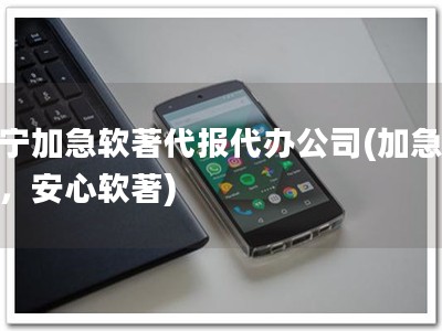 济宁加急软著代报代办公司(加急代办，安心软著)