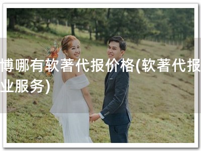 淄博哪有软著代报价格(软著代报，专业服务)