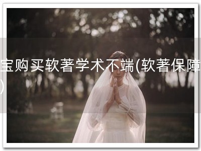 淘宝购买软著学术不端(软著保障企业)