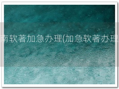 海南软著加急办理(加急软著办理！)