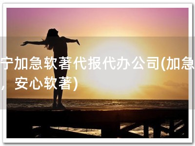 济宁加急软著代报代办公司(加急代办，安心软著)