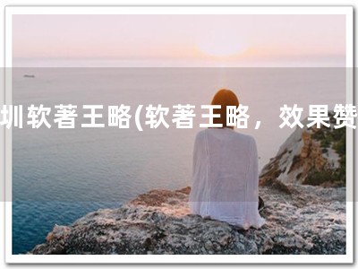 深圳软著王略(软著王略，效果赞！)