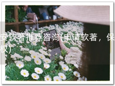 淳安软著推荐咨询(申请软著，保护版权)