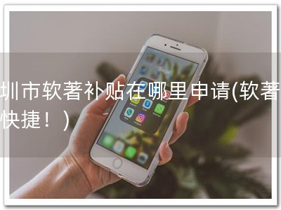 深圳市软著补贴在哪里申请(软著申请快捷！)