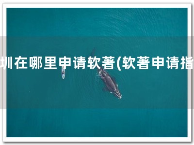 深圳在哪里申请软著(软著申请指南)