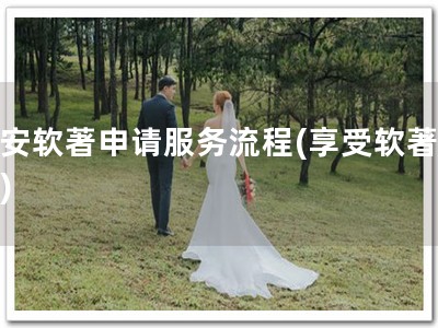 淳安软著申请服务流程(享受软著服务)
