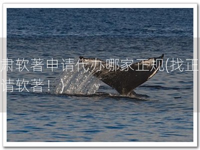甘肃软著申请代办哪家正规(找正规申请软著！)