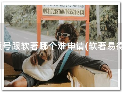 版号跟软著哪个难申请(软著易得)