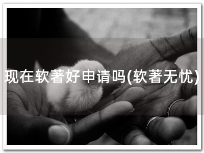 现在软著好申请吗(软著无忧)