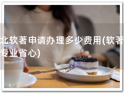 湖北软著申请办理多少费用(软著申请专业省心)