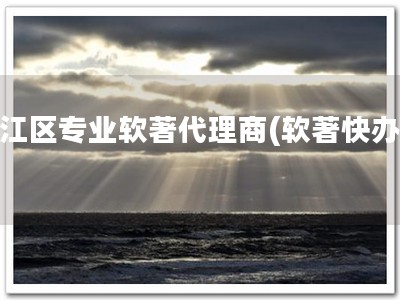 滨江区专业软著代理商(软著快办！)
