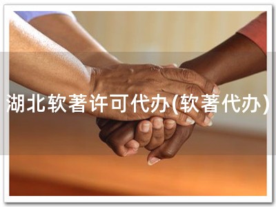 湖北软著许可代办(软著代办)