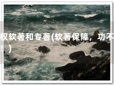 版权软著和专著(软著保障，功不可没！)