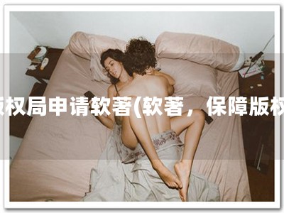 版权局申请软著(软著，保障版权)