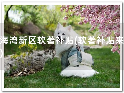 滨海湾新区软著补贴(软著补贴来袭！)