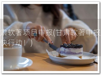 甘肃软著项目申报(甘肃软著申报，赶快行动！)