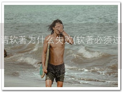 申请软著为什么失败(软著必须过审)
