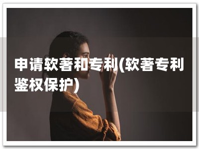 申请软著和专利(软著专利 鉴权保护)