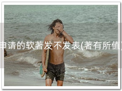 申请的软著发不发表(著有所值)