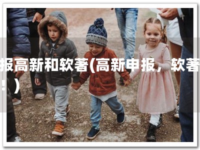 申报高新和软著(高新申报，软著必备！)