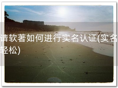 申请软著如何进行实名认证(实名认证轻松)