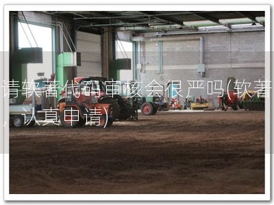申请软著代码审核会很严吗(软著不易，认真申请)