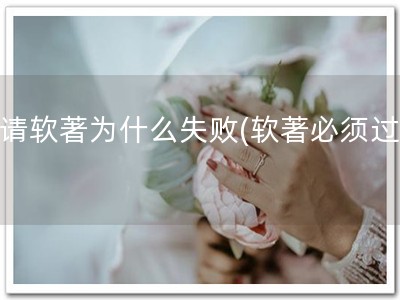 申请软著为什么失败(软著必须过审)