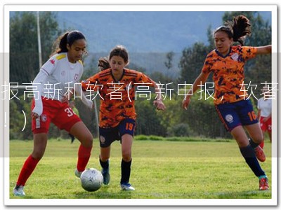 申报高新和软著(高新申报，软著必备！)