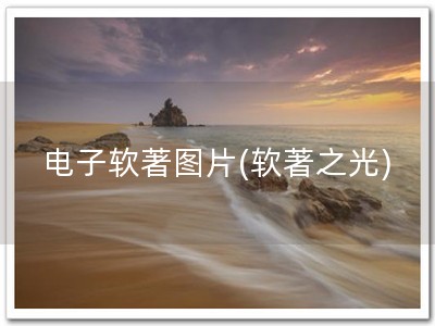 电子软著图片(软著之光)